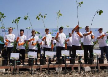 SPMT Grup Tanam Mangrove